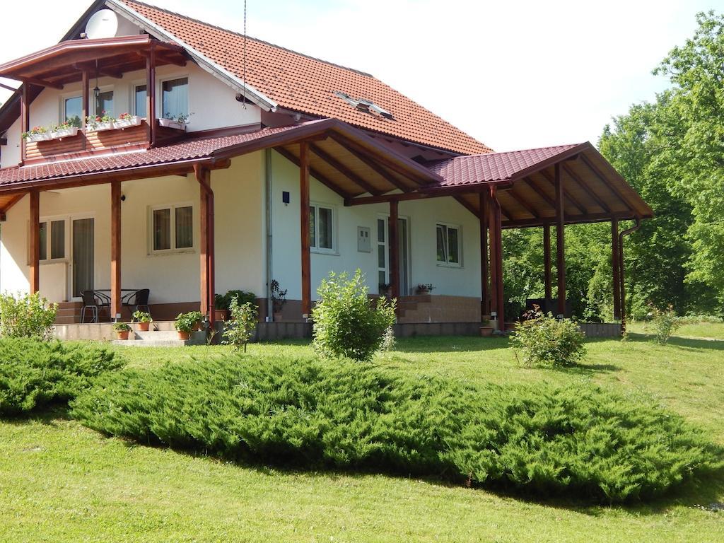 Guesthouse Abrlic Seliste Dreznicko Exterior photo